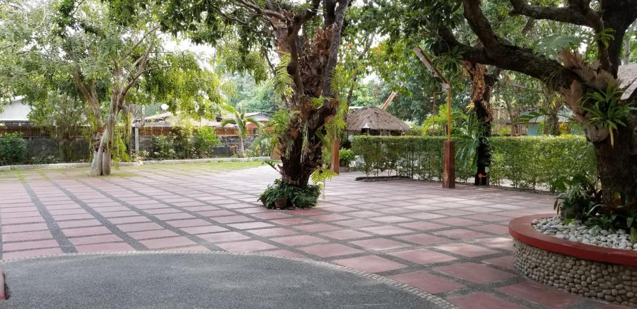 Buenavista Family Inn Tagudin Екстер'єр фото